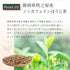 Apple mint x hojicha 茶包 2.5g x 35p